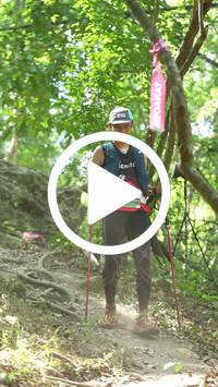 BIB:  <button type="button" onclick="openModal(27943957)" class="btn btn-primary btn-sm float-right" data-toggle="modal" data-target=".modal-high-quality">
                <i class="fa fa-download"></i> Download
                </button>